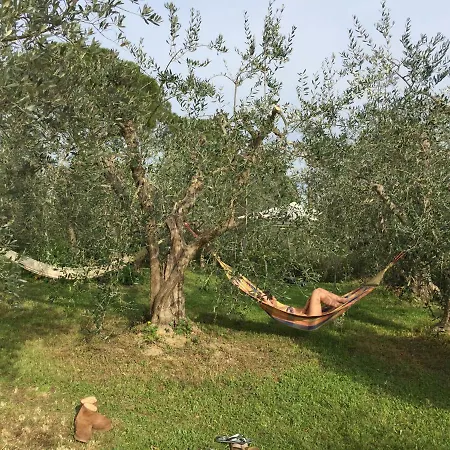 Tuscan Sun * Флоренция