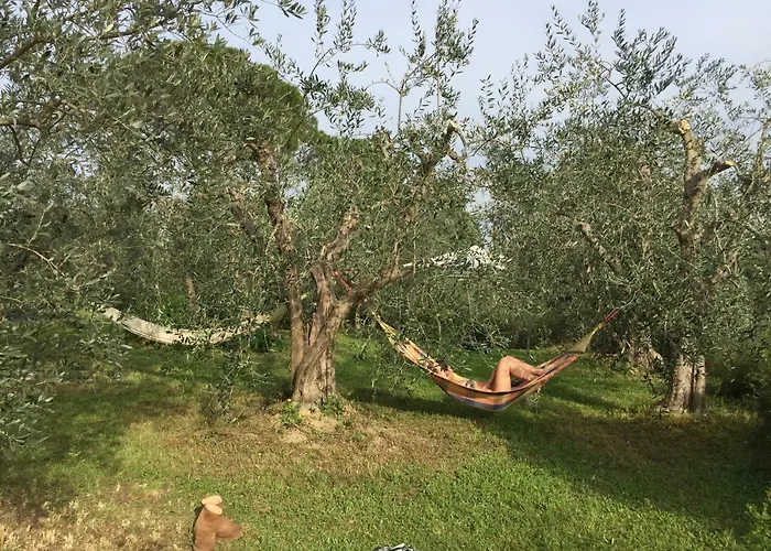 Tuscan Sun * Floransa